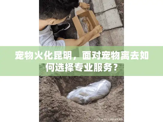 宠物火化昆明，面对宠物离去如何选择专业服务？