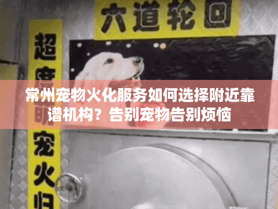 常州宠物火化服务如何选择附近靠谱机构？告别宠物告别烦恼