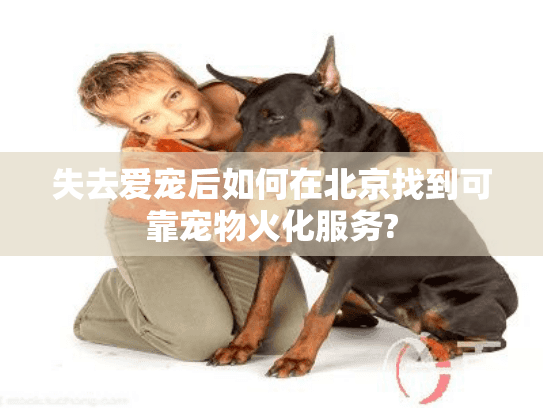 失去爱宠后如何在北京找到可靠宠物火化服务?