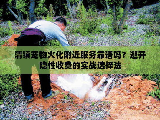 清镇宠物火化附近服务靠谱吗?避开隐性收费的实战选择法 清镇宠物火化附近服务靠谱吗?避开隐性收费的实战选择法