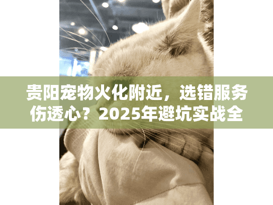 贵阳宠物火化附近，选错服务伤透心？2025年避坑实战全解析