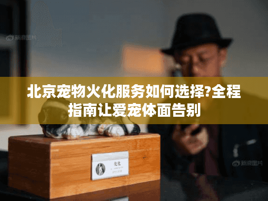 北京宠物火化服务如何选择?全程指南让爱宠体面告别