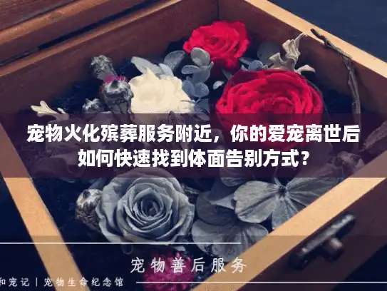 宠物火化殡葬服务附近，你的爱宠离世后如何快速找到体面告别方式？