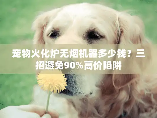 宠物火化炉无烟机器多少钱?三招避免90%高价陷阱 宠物火化炉无烟机器多少钱?三招避免90%高价陷阱