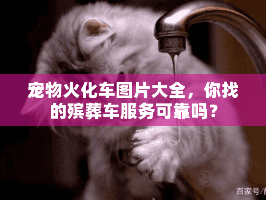 宠物火化车图片大全，你找的殡葬车服务可靠吗？