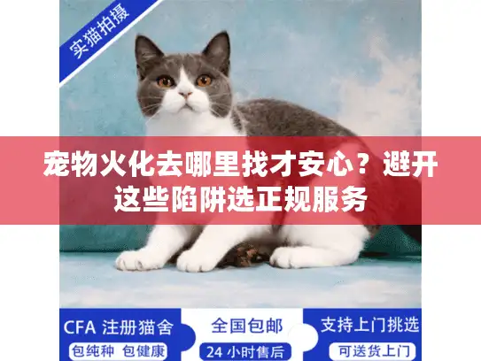 宠物火化去哪里找才安心？避开这些陷阱选正规服务