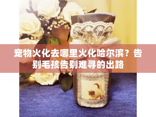 宠物火化去哪里火化哈尔滨？告别毛孩告别难寻的出路