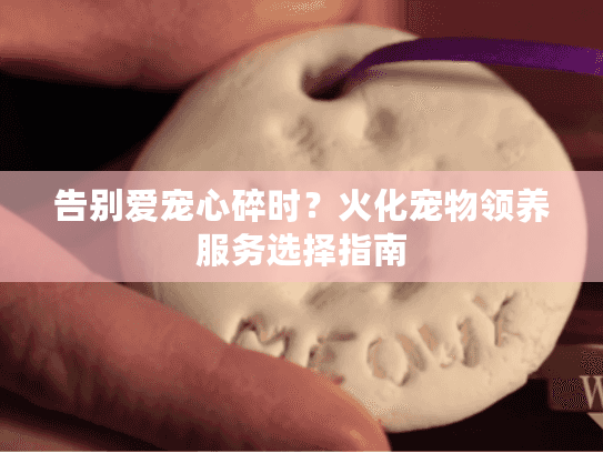 告别爱宠心碎时？火化宠物领养服务选择指南