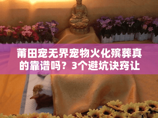 莆田宠无界宠物火化殡葬真的靠谱吗？3个避坑诀窍让告别更安心