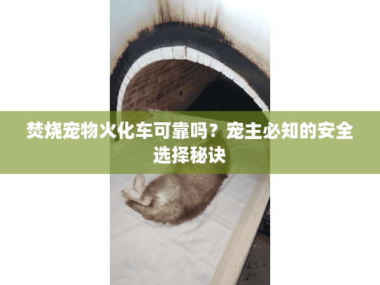 焚烧宠物火化车可靠吗？宠主必知的安全选择秘诀