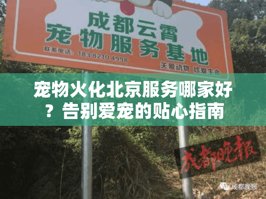 宠物火化北京服务哪家好?告别爱宠的贴心指南 宠物火化北京服务哪家好?告别爱宠的贴心指南