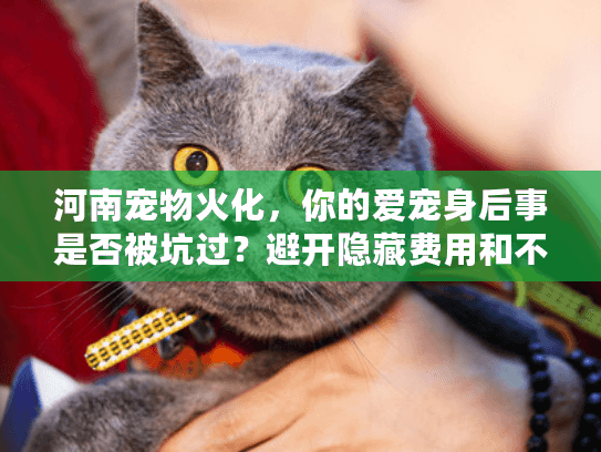 河南宠物火化,你的爱宠身后事是否被坑过?避开隐藏费用和不当处理陷阱 河南宠物火化,你的爱宠身后事是否被坑过?避开隐藏费用和不当处理陷阱