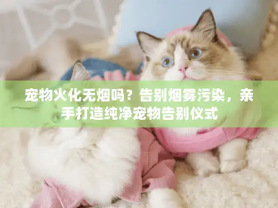 宠物火化无烟吗？告别烟雾污染，亲手打造纯净宠物告别仪式