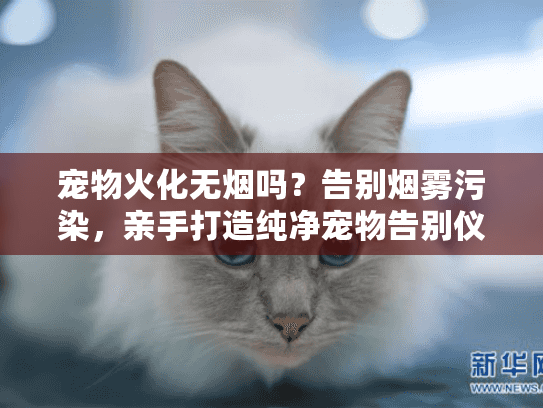 宠物火化无烟吗？告别烟雾污染，亲手打造纯净宠物告别仪式