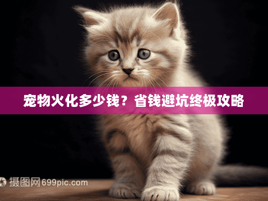 宠物火化多少钱?省钱避坑终极攻略 宠物火化多少钱?省钱避坑终极攻略
