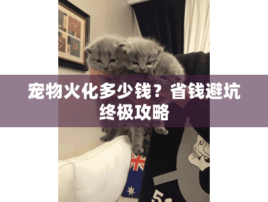 宠物火化多少钱?省钱避坑终极攻略 宠物火化多少钱?省钱避坑终极攻略