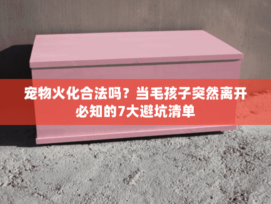 宠物火化合法吗？当毛孩子突然离开必知的7大避坑清单