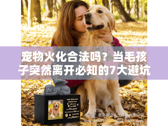 宠物火化合法吗？当毛孩子突然离开必知的7大避坑清单