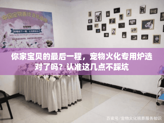 你家宝贝的最后一程，宠物火化专用炉选对了吗？认准这几点不踩坑