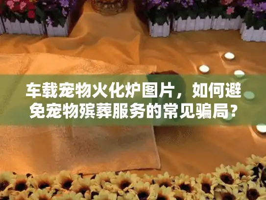 车载宠物火化炉图片，如何避免宠物殡葬服务的常见骗局？