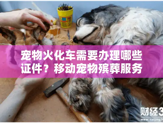 宠物火化车需要办理哪些证件?移动宠物殡葬服务合法化难点解析 宠物火化车需要办理哪些证件?移动宠物殡葬服务合法化难点解析