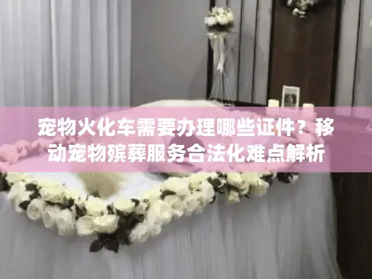 宠物火化车需要办理哪些证件?移动宠物殡葬服务合法化难点解析 宠物火化车需要办理哪些证件?移动宠物殡葬服务合法化难点解析