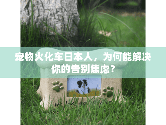 宠物火化车日本人，为何能解决你的告别焦虑？