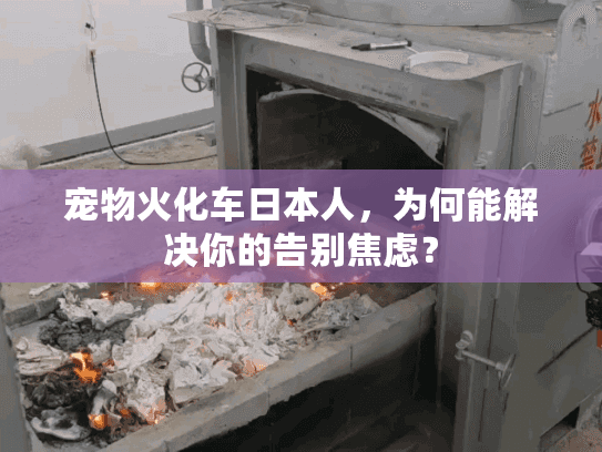 宠物火化车日本人，为何能解决你的告别焦虑？