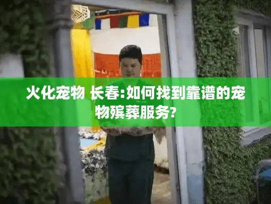 火化宠物 长春:如何找到靠谱的宠物殡葬服务?