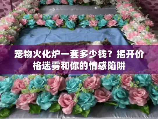 宠物火化炉一套多少钱？揭开价格迷雾和你的情感陷阱