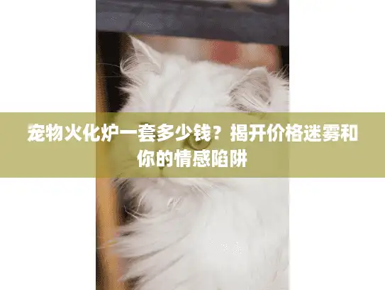 宠物火化炉一套多少钱？揭开价格迷雾和你的情感陷阱