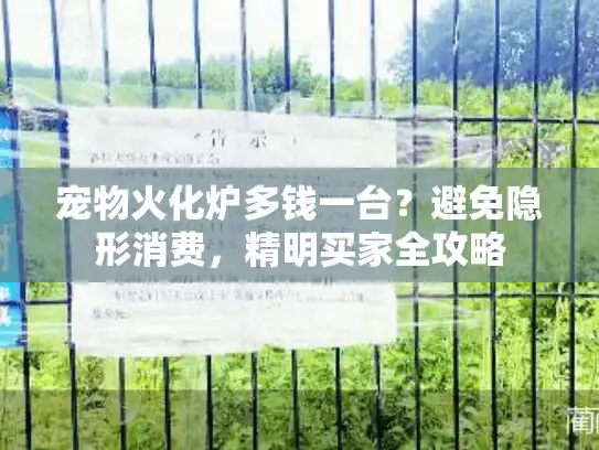 宠物火化炉多钱一台？避免隐形消费，精明买家全攻略