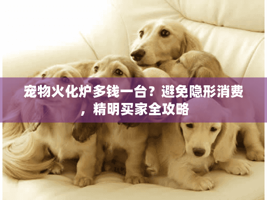 宠物火化炉多钱一台？避免隐形消费，精明买家全攻略