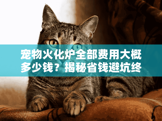 宠物火化炉全部费用大概多少钱？揭秘省钱避坑终极策略