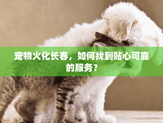 宠物火化长春，如何找到贴心可靠的服务？