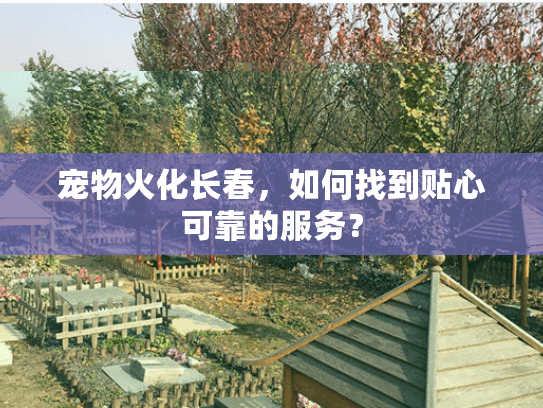 宠物火化长春，如何找到贴心可靠的服务？