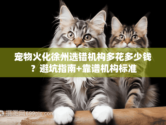 宠物火化徐州选错机构多花多少钱？避坑指南+靠谱机构标准