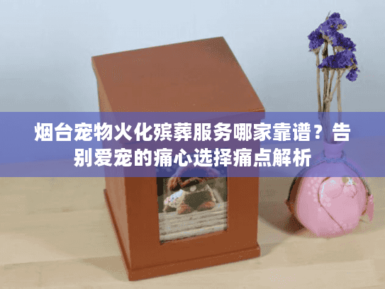 烟台宠物火化殡葬服务哪家靠谱？告别爱宠的痛心选择痛点解析