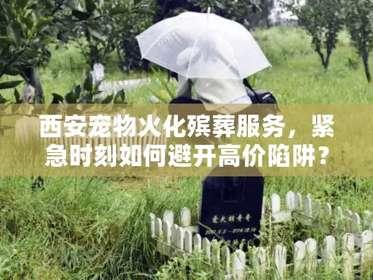 西安宠物火化殡葬服务，紧急时刻如何避开高价陷阱？