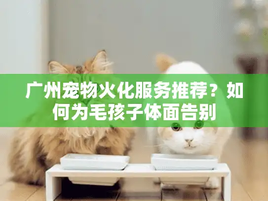广州宠物火化服务推荐？如何为毛孩子体面告别