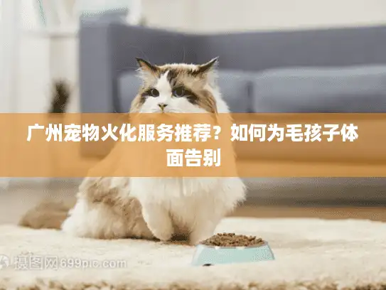 广州宠物火化服务推荐？如何为毛孩子体面告别