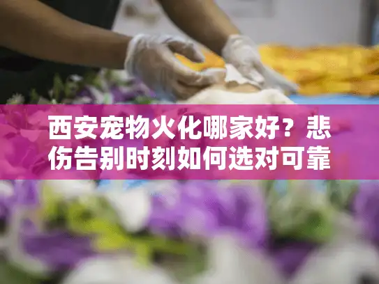 西安宠物火化哪家好?悲伤告别时刻如何选对可靠服务 西安宠物火化哪家好?悲伤告别时刻如何选对可靠服务