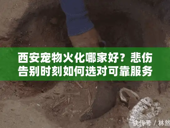 西安宠物火化哪家好?悲伤告别时刻如何选对可靠服务 西安宠物火化哪家好?悲伤告别时刻如何选对可靠服务
