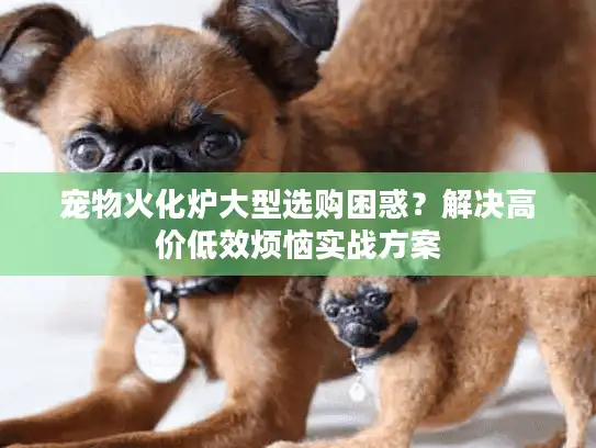 宠物火化炉大型选购困惑？解决高价低效烦恼实战方案