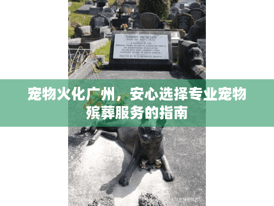 宠物火化广州，安心选择专业宠物殡葬服务的指南