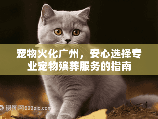 宠物火化广州，安心选择专业宠物殡葬服务的指南