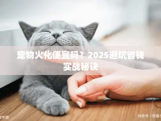 宠物火化便宜吗?2025避坑省钱实战秘诀 宠物火化便宜吗?2025避坑省钱实战秘诀