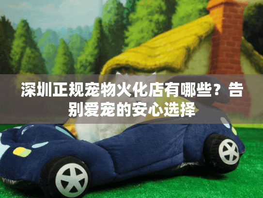 深圳正规宠物火化店有哪些？告别爱宠的安心选择