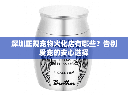 深圳正规宠物火化店有哪些？告别爱宠的安心选择