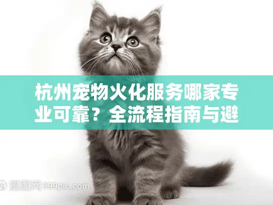 杭州宠物火化服务哪家专业可靠？全流程指南与避坑建议